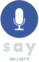 SAY Group Logo